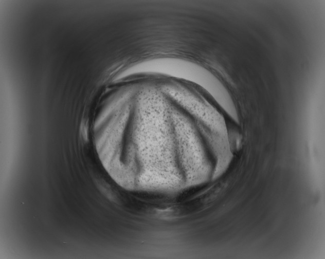 X0000082970068200703020243