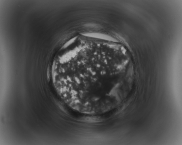 X0000082970069200703020243