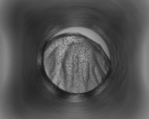 X0000082970072200703020243