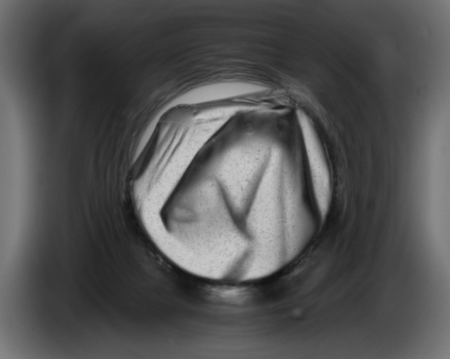 X0000082970073200703020243