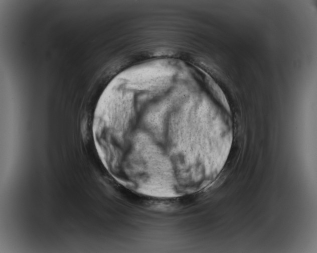 X0000082970074200703020243