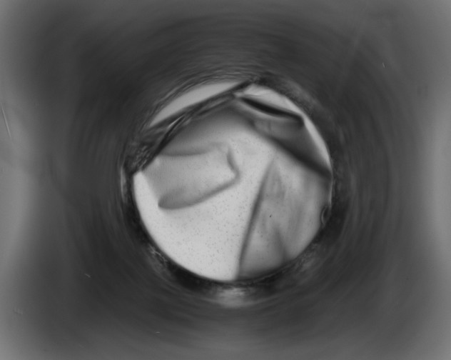 X0000082970075200703020243