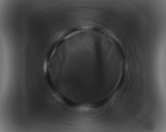 X0000082970076200703020243