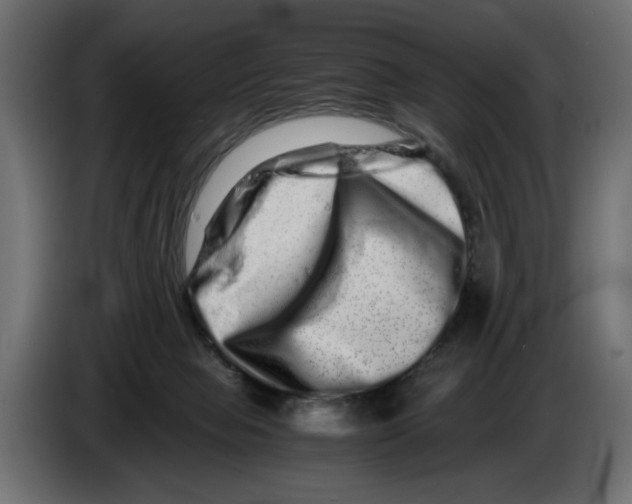 X0000082970077200703020243