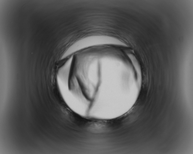 X0000082970078200703020243