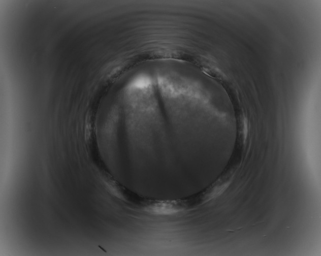 X0000082970080200703020244