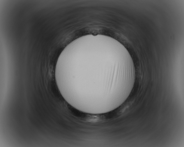 X0000082970083200703020244