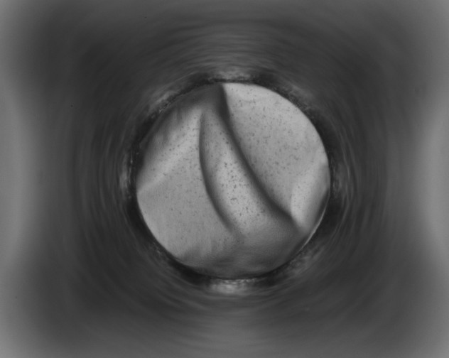 X0000082970084200703020244