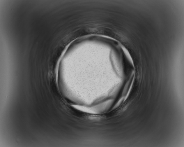 X0000082970085200703020244