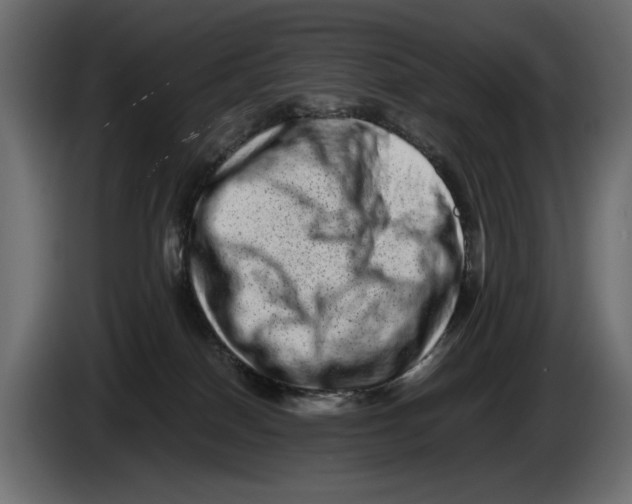 X0000082970086200703020244