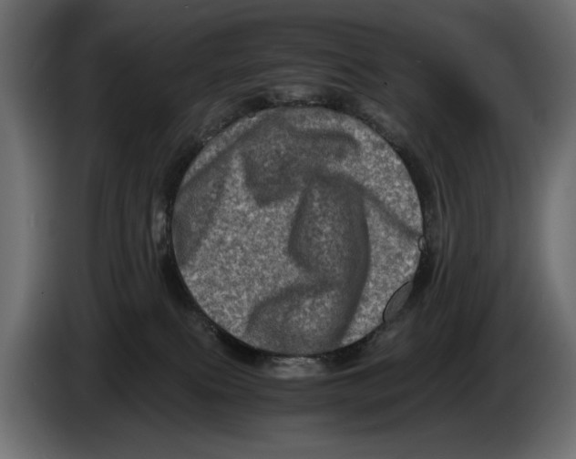 X0000082970087200703020244