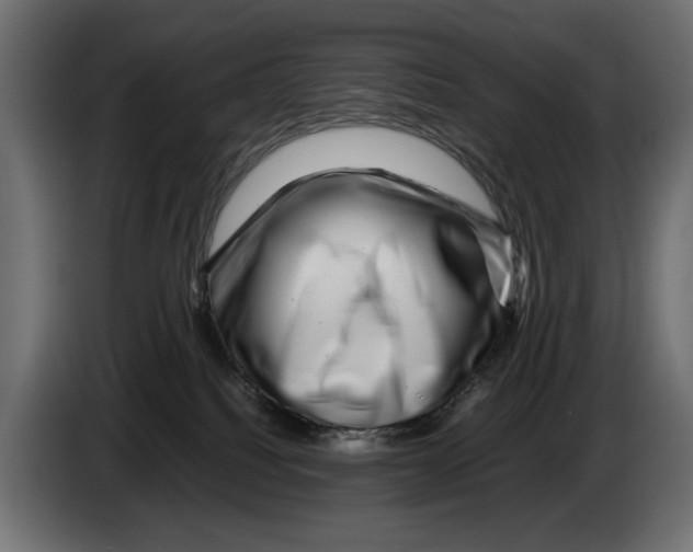 X0000082970088200703020244