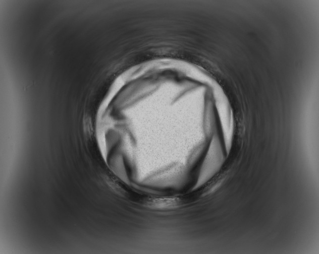 X0000082970089200703020244