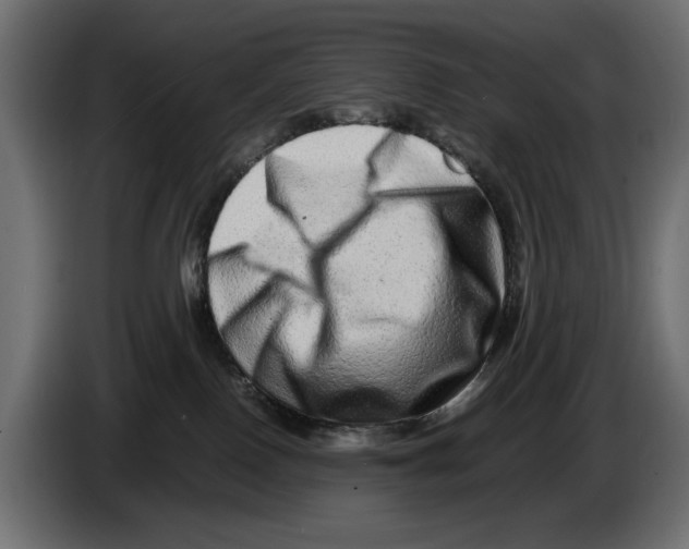 X0000082970090200703020244