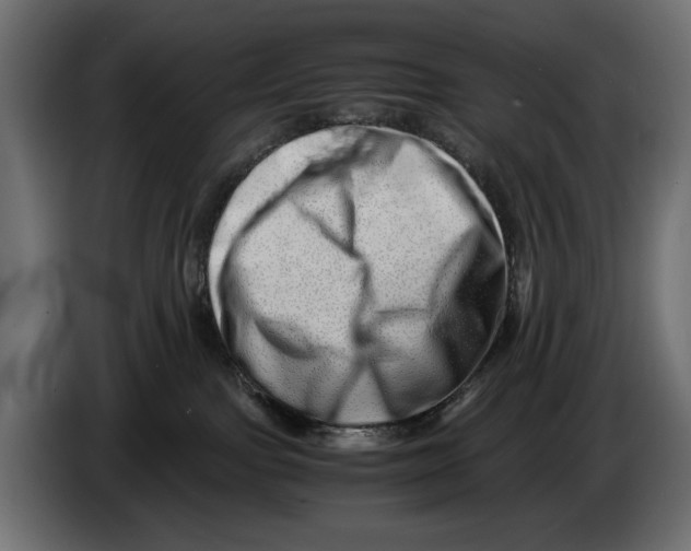 X0000082970091200703020244