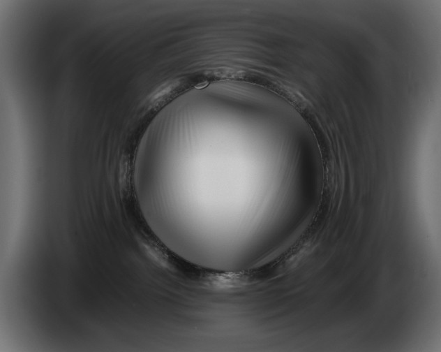X0000082970092200703020244