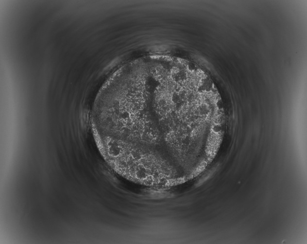 X0000082970093200703020244