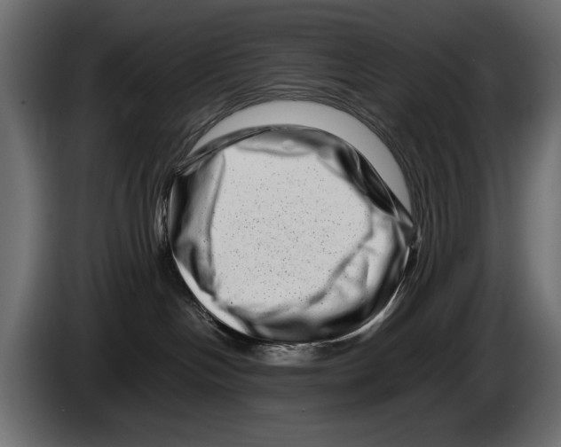 X0000082970094200703020244