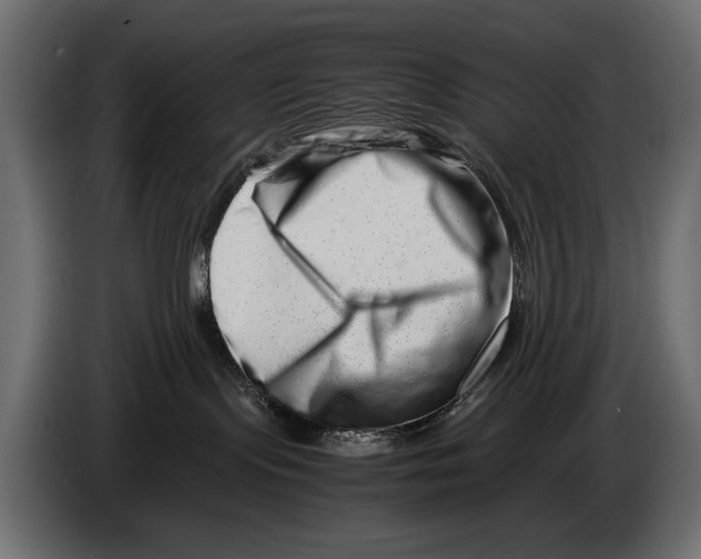 X0000082970095200703020244