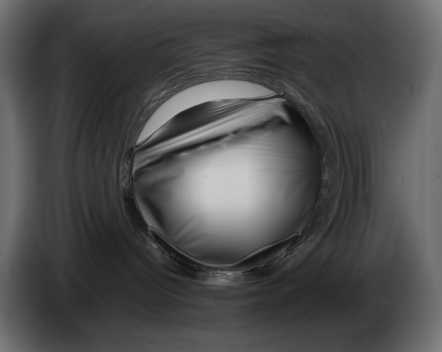 X0000082970096200703020244