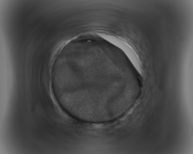 X0000082970097200703020243