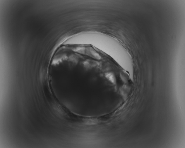 X0000082970099200703020243