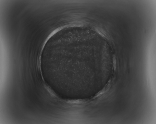 X0000082970100200703020243