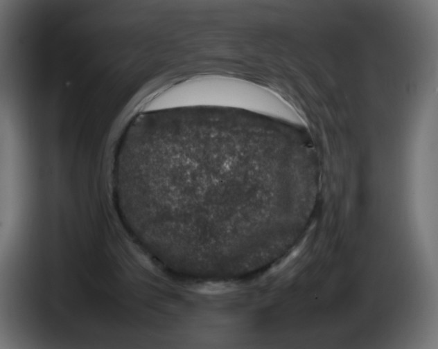 X0000082970101200703020243