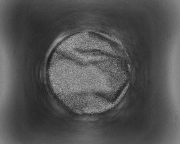 X0000082970102200703020243