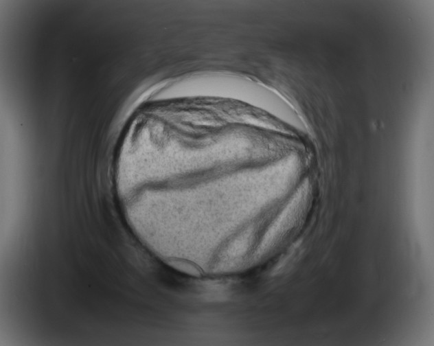 X0000082970103200703020243