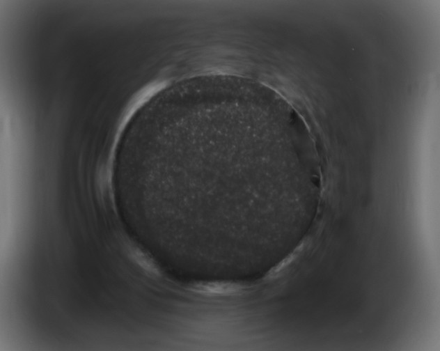 X0000082970104200703020243