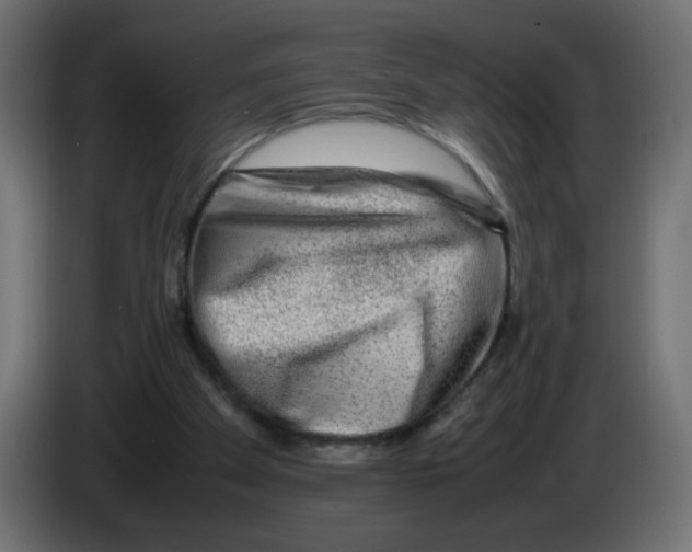 X0000082970105200703020243