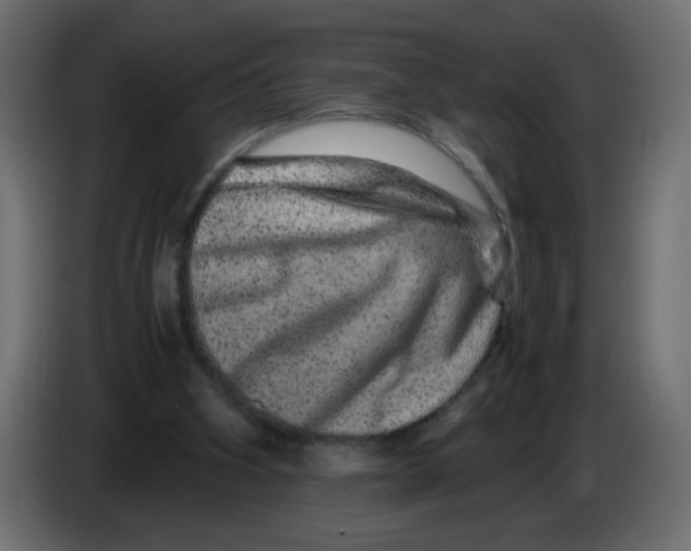 X0000082970106200703020243