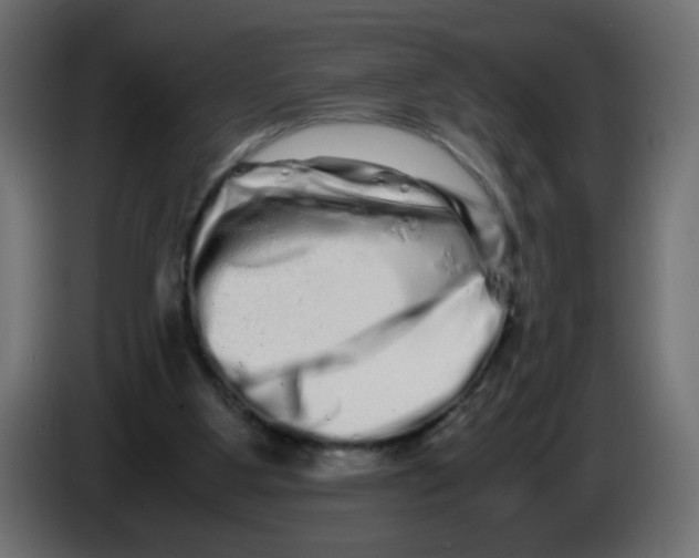 X0000082970107200703020243