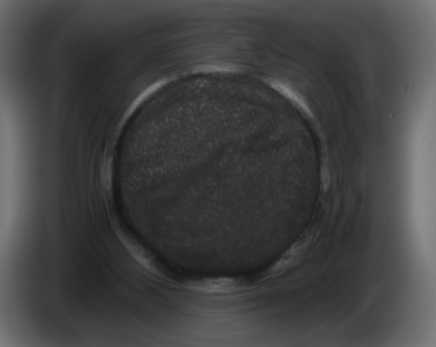 X0000082970108200703020243
