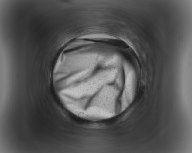 X0000082970109200703020243