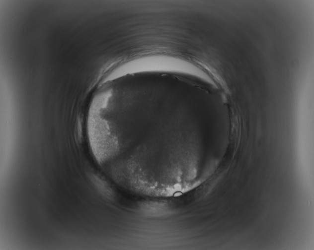 X0000082970110200703020243