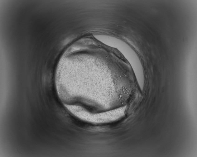 X0000082970111200703020243