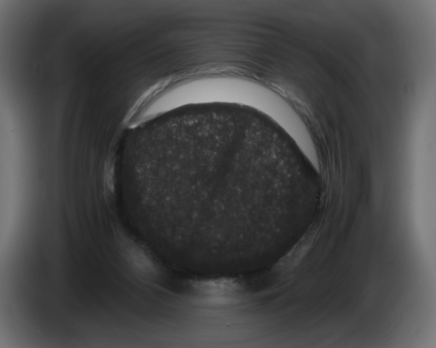 X0000082970112200703020243