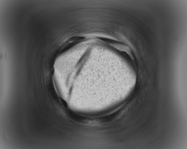 X0000082970113200703020243