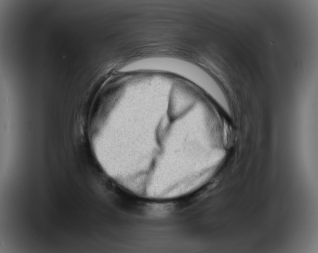 X0000082970115200703020243