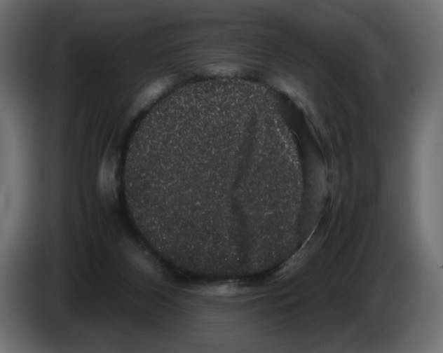 X0000082970116200703020243