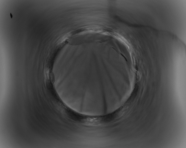X0000082970117200703020243