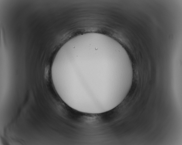 X0000082970118200703020243