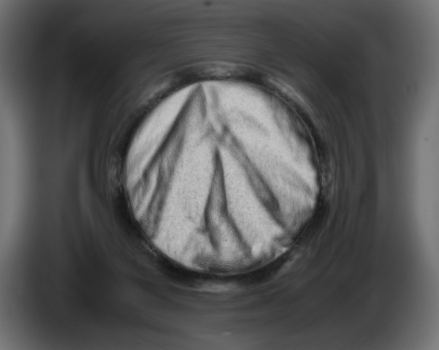 X0000082970119200703020243