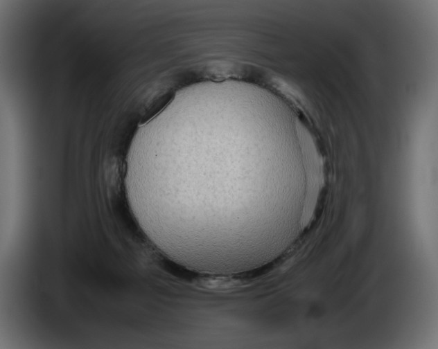 X0000082970121200703020243