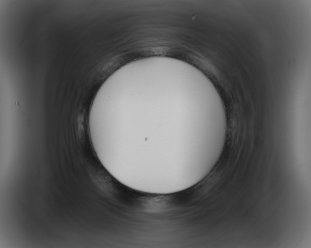 X0000082970122200703020243