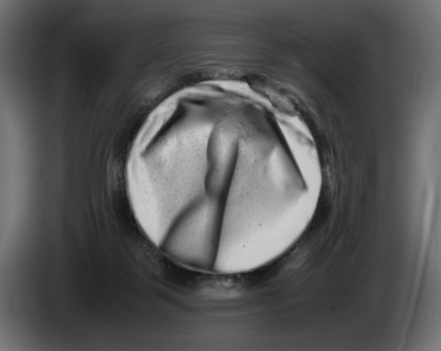 X0000082970123200703020243
