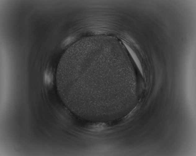 X0000082970124200703020243