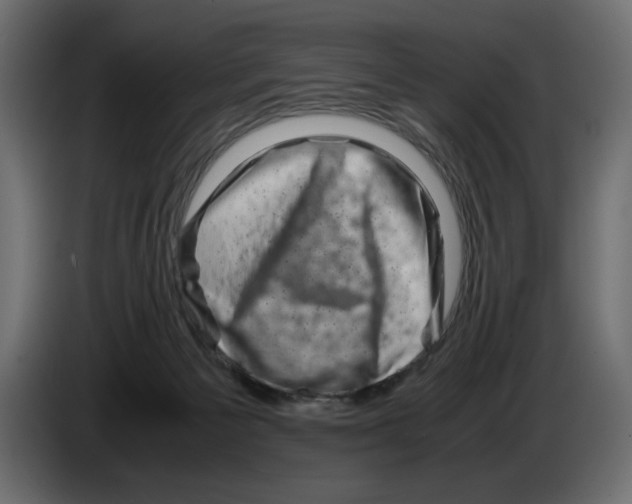 X0000082970125200703020243